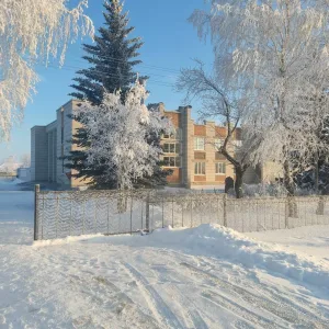 Администрация МО "Выровское сельское поселение"