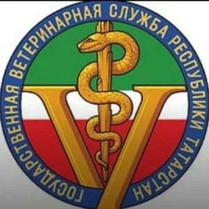ГБУ "Нурлатское РГВО"