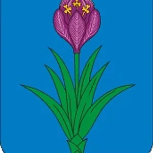 АМС Моздокское городское поселение