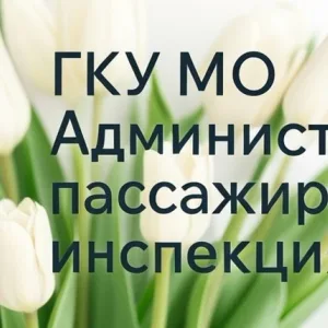 ГКУ МО «Административно-пассажирская инспекция»
