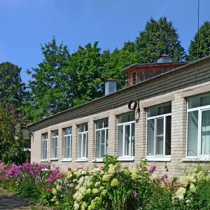 МКОУ "Василёвская СОШ"