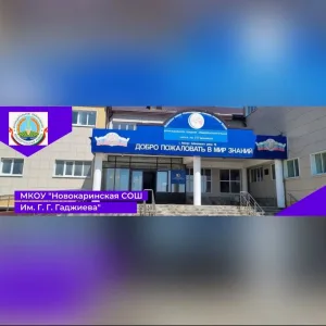 МКОУ "Новокаринская СОШ им.Г.Г.Гаджиева"