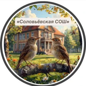 МБОУ "Соловьевская СОШ"