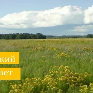 Администрация Зудовского сельсовета