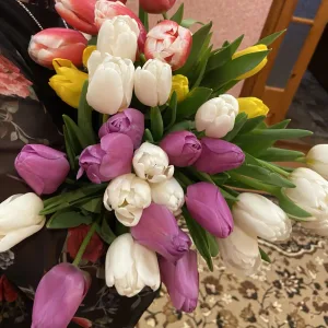 Родительский чат МКОУ СОШ 9 с. Кучерла (Ставропольский край, ОО)
