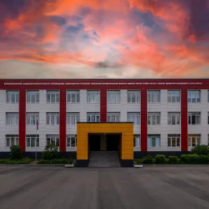 МОУ "ДСОШ" имени Дмитрия Ефимовича Оскаленко: школьная территория