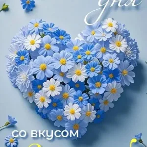 Прогимназия «Ручеёк» г.Хасавюрт