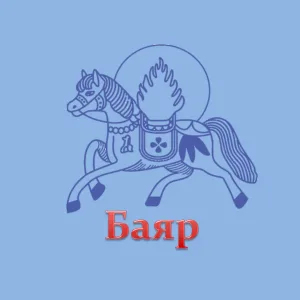 МАОУ ДО "ЦНК "Баяр"