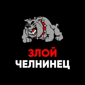 Злой Челнинец. Жалобы Набережные Челны