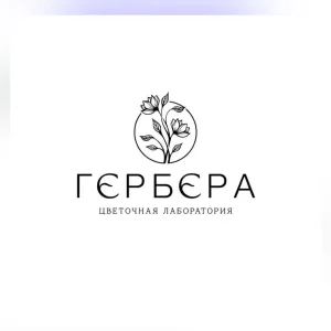 ГЕРБЕРА ЦВЕТЫ СТАВРОПОЛЬ