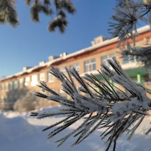 МБОУ "Юбилейная СОШ" Тотемского округа