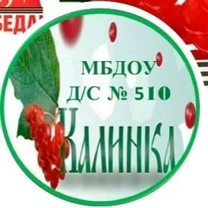 МБДОУ д/с 510 "Калинка"