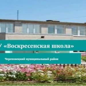 МОУ "Воскресенская школа"