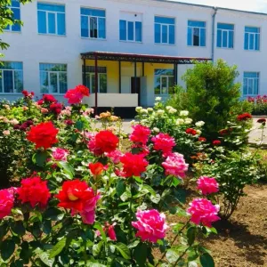 МБОУ Богородицкая СОШ № 20
