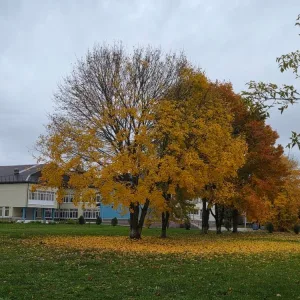 МКОУ «СШ № 17»