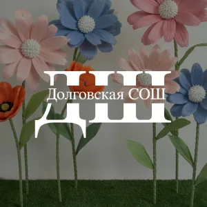 МКОУ "Долговская СОШ"
