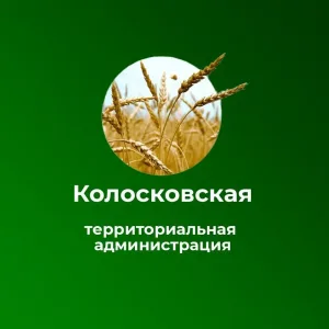 КОЛОСКОВСКАЯ ТЕРРИТОРИАЛЬНАЯ АДМИНИСТРАЦИЯ