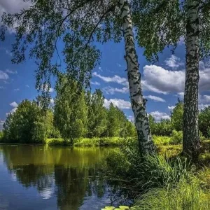 МО Никольский сельсовет