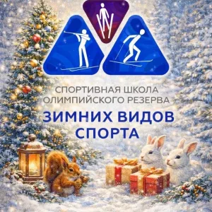 Спортивная школа зимних видов спорта