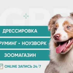 ДИНОДОГ(ДогПрайд)ГРУМИНГ | ДРЕССИРОВКА ЕКБ