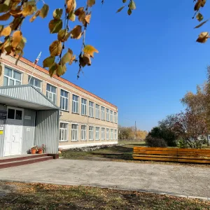 Быструхинская школа