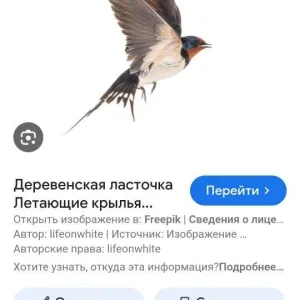 МКДОУ "ЛАСТОЧКА" С. АТЛАНАУЛ