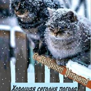 Радуга