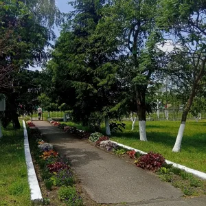 МОБУ ООШ №17 село Гофицкое