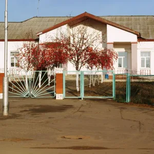 МБОУ "Борковская ООШ"