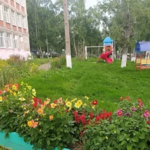 КГКУ НЦПД