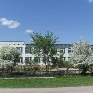 МКОУ "Боровская СОШ"