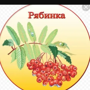 МБДОУ детский сад №4 "Рябинка" Каменского района