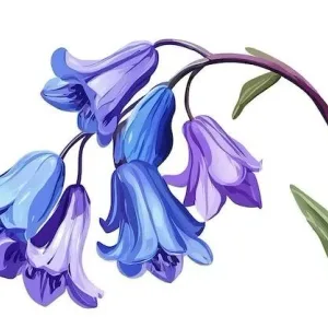 МБДОУ ДС № 2 села Черниговка