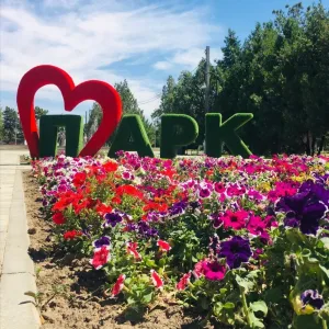 Парк Культуры и отдыха Сальского городского поселения