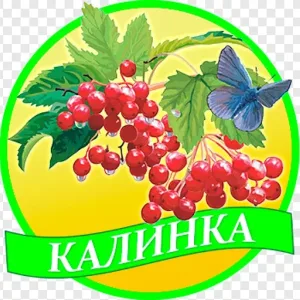 ГБДОУ "ДЕТСКИЙ САД №352 Г. О. ДОНЕЦК" ДНР