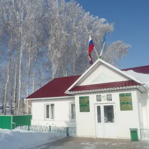 Администрация сельского поселения Бураевский сельсовет муниципального района Бураевский район