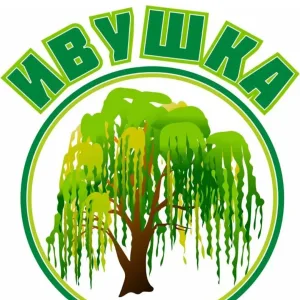 МКДОУ "Детский сад №12 "Ивушка"