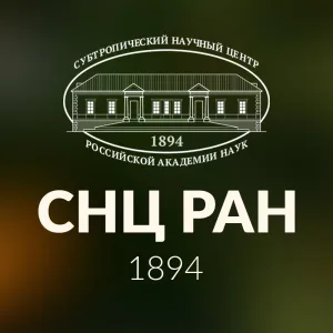 Субтропический научный центр РАН