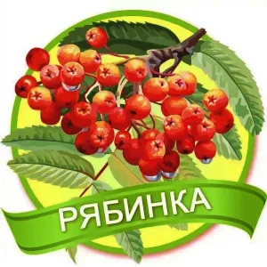 МБДОУ детский сад №12 "Рябинка" г. Топки