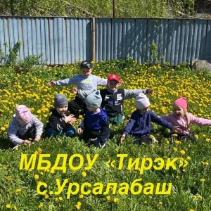 ДЕТСКИЙ САД "ТИРЭК" С. УРСАЛБАШ АЛЬМЕТЬЕВСКОГО РАЙОНА