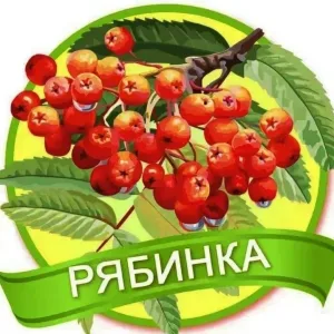 МБДОУ "ДС 3 Рябинка" С. Прохоры