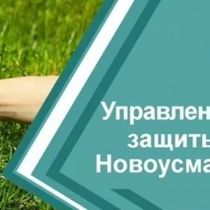 КУВО «УСЗН Новоусманского района»