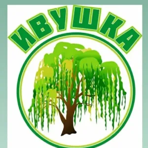 Дошкольное учреждение"ИВУШКА"