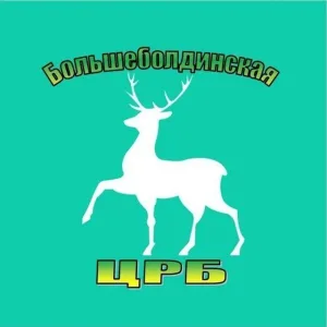ГБУЗ НО "Большеболдинская ЦРБ"