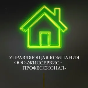 УК ООО "Жилсервис - Профессионал"