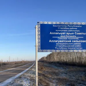 АСП Аллагуватский сельсовет