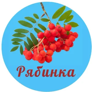 МБДОУ "Рябинка"
