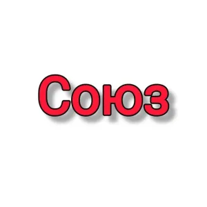 МАУ ЦФСР "СОЮЗ " ТМО