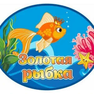 МАДОУ детский сад "Золотая рыбка"