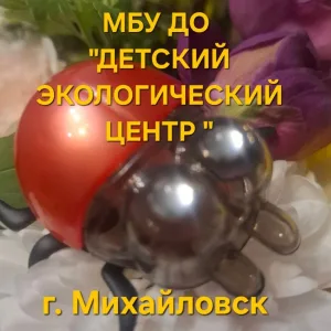 МБУДО"ДЕТСКИЙ ЭКОЛОГИЧЕСКИЙ ЦЕНТР " г.Михайловск